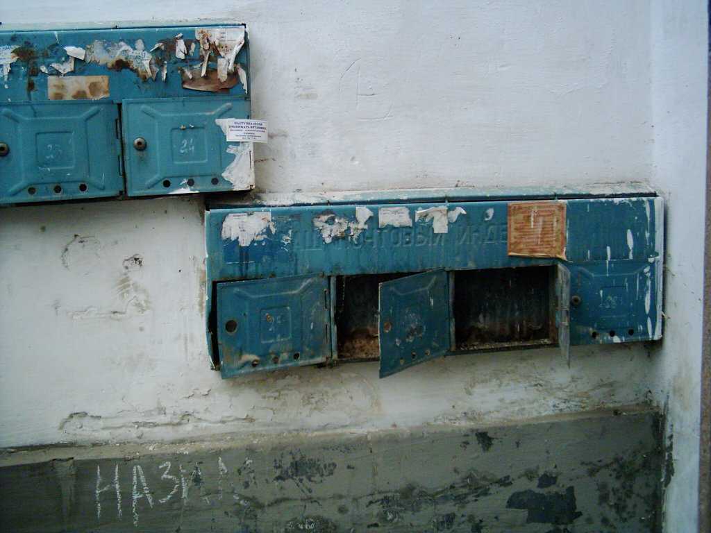 Familie Than l�sst sich entschuldigen. Nur Ralphs Site ist derzeit verf�gbar.